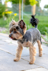 Similar image 22535163