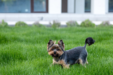 Similar image 22535164