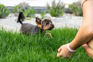 Similar image 22535165