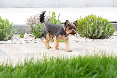 Similar image 22535166