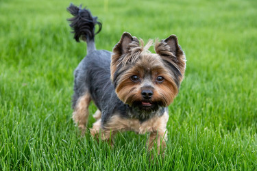 Similar image 22535168