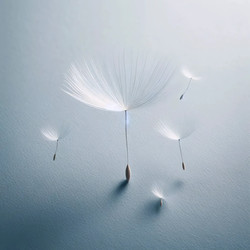 Similar image 22549350