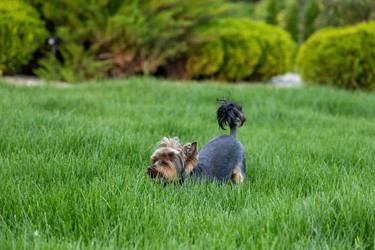 Similar image 22535183