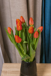 Similar image 22534906