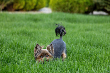 Similar image 22535150