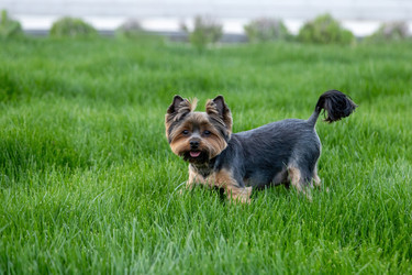 Similar image 22535151