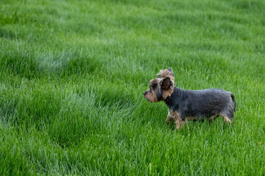 Similar image 22535152