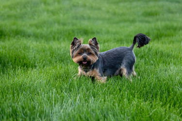 Similar image 22535153