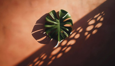 Similar image 22544230