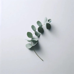 Similar image 22546153