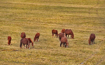 Similar image 22560009