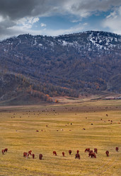 Similar image 22559999