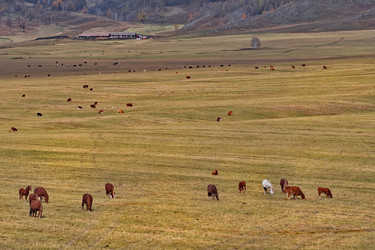 Similar image 22560000