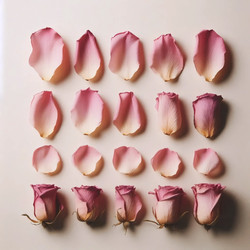 Similar image 22542340