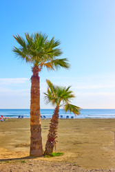 Similar image 22537418