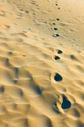 Similar image 22536698