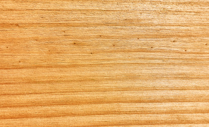 Similar image 22536713