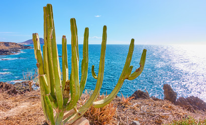 Similar image 22536820