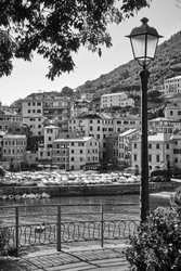 Similar image 22536997