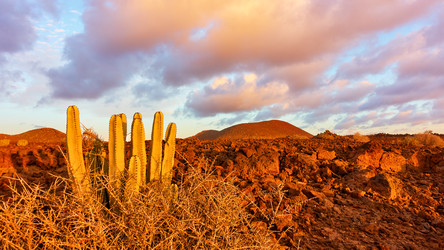 Similar image 22537012