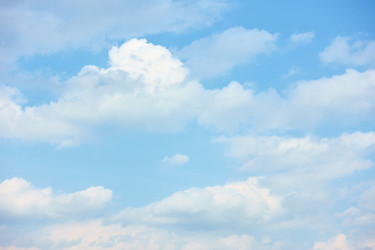 Similar image 22537193