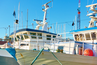 Similar image 22537252