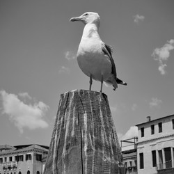 Similar image 22537255