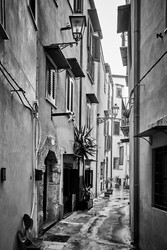 Similar image 22537421