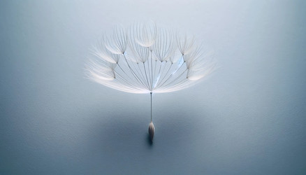 Similar image 22551741