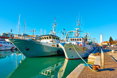 Similar image 22536640