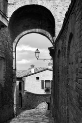 Similar image 22536743