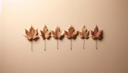 Similar image 22540748