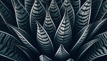 Similar image 22541284