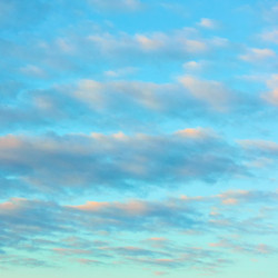 Similar image 22536967