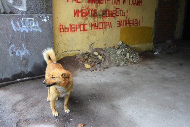 Similar image 22534843