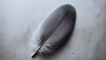 Similar image 22545866