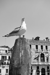 Similar image 22537315