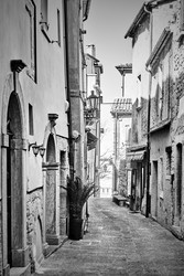 Similar image 22537513