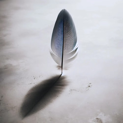 Similar image 22539005