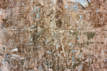 Similar image 22536955