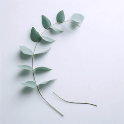 Similar image 22544051