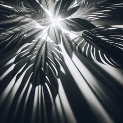 Similar image 22544571