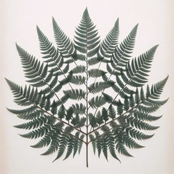 Similar image 22544722