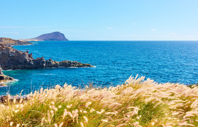 Similar image 22537332