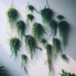 Similar image 22547370