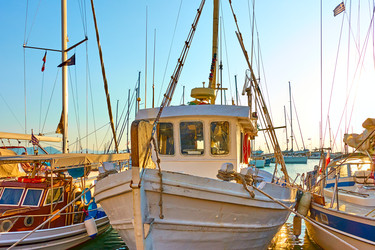 Similar image 22536704