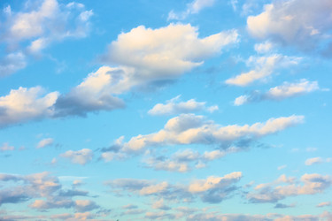 Similar image 22536705