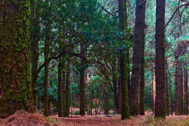 Similar image 22536706