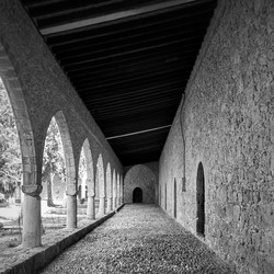 Similar image 22537005