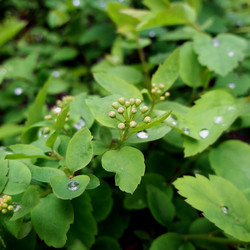 Similar image 22555868